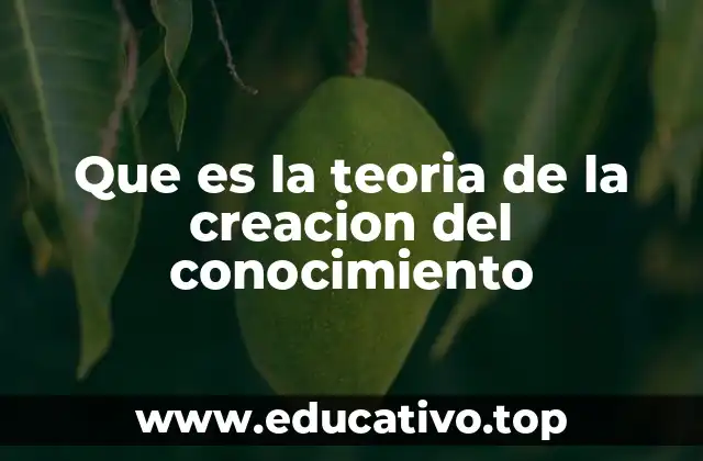 Que es la teoria de la creacion del conocimiento