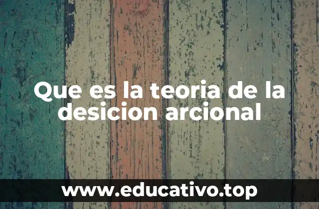 Que es la teoria de la desicion arcional