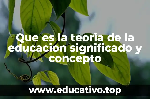 Que es la teoria de la educacion significado y concepto