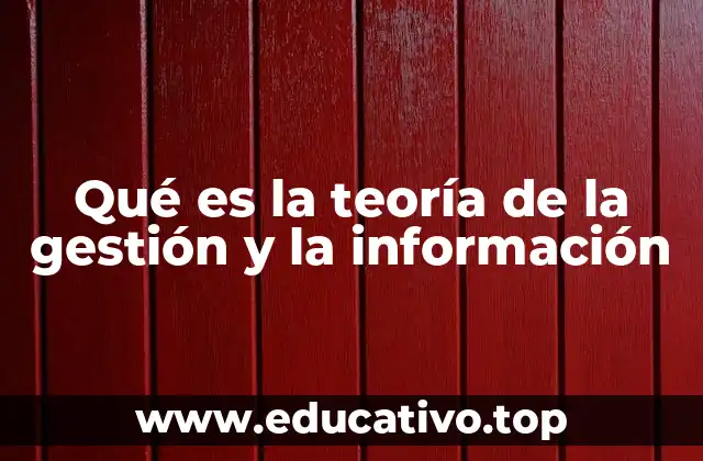 El papel de la información en la toma de decisiones organizacionales