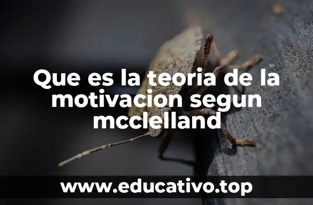 Que es la teoria de la motivacion segun mcclelland