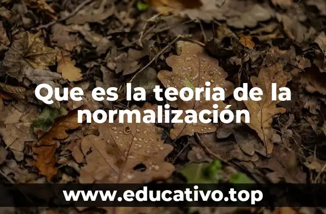¿Qué es la teoría de la normalización? (continuación)