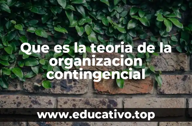 La adaptación como base de la estructura organizacional