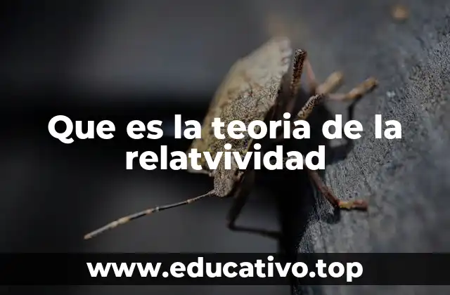 Que es la teoria de la relatvividad