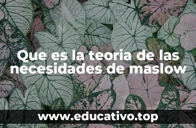 Que es la teoria de las necesidades de maslow
