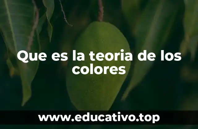 Que es la teoria de los colores