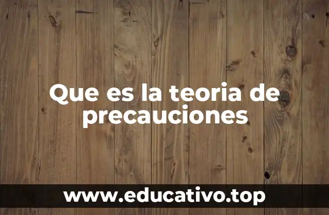 Que es la teoria de precauciones