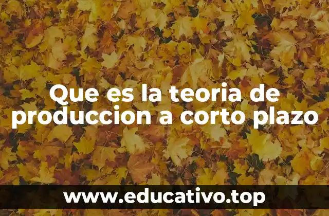 Que es la teoria de produccion a corto plazo
