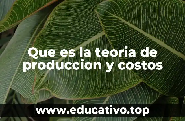 La base económica detrás del proceso productivo