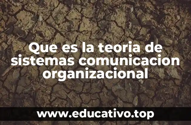 Que es la teoria de sistemas comunicacion organizacional