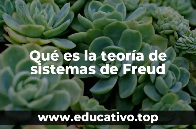 Qué es la teoría de sistemas de Freud