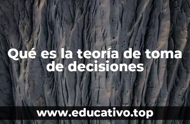 Qué es la teoría de toma de decisiones