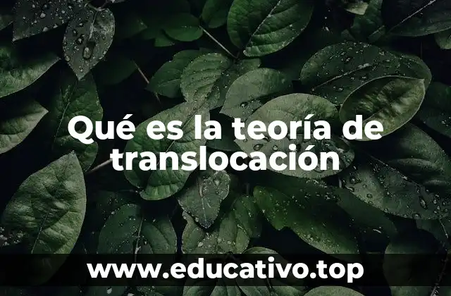 Qué es la teoría de translocación