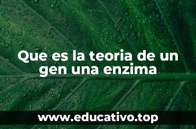 Que es la teoria de un gen una enzima