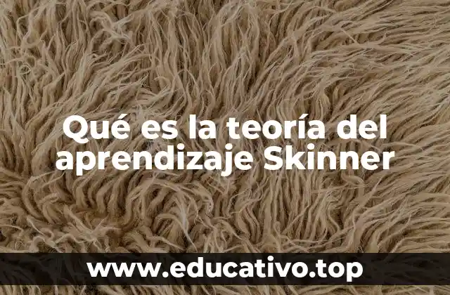 Qué es la teoría del aprendizaje Skinner