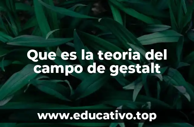 Que es la teoria del campo de gestalt