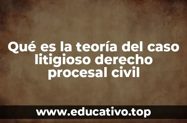 Qué es la teoría del caso litigioso derecho procesal civil