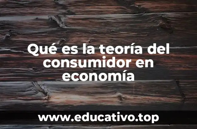 Qué es la teoría del consumidor en economía