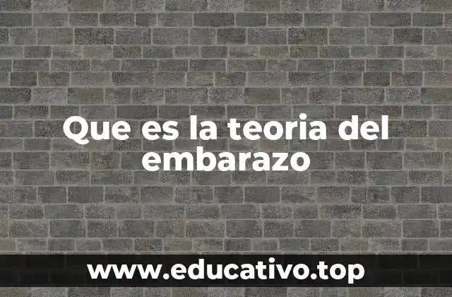 Que es la teoria del embarazo