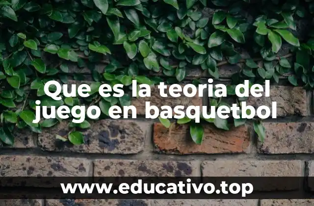 Que es la teoria del juego en basquetbol