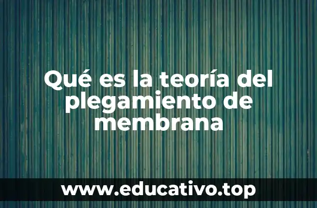 Origen de las funciones celulares a través de la membrana