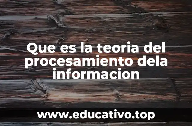 Que es la teoria del procesamiento dela informacion