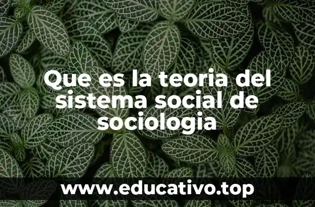 Que es la teoria del sistema social de sociologia