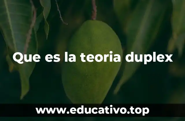 Que es la teoria duplex