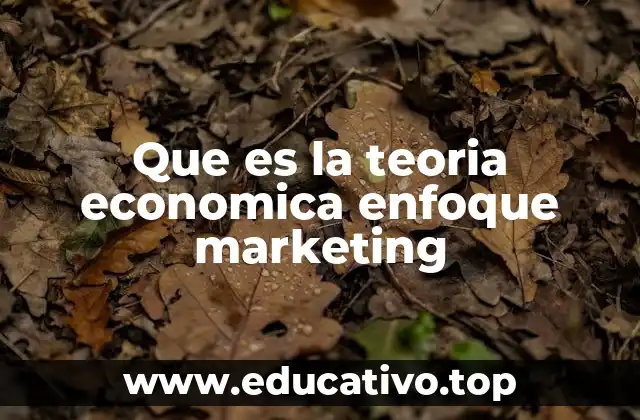 Que es la teoria economica enfoque marketing