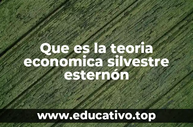 Que es la teoria economica silvestre esternón