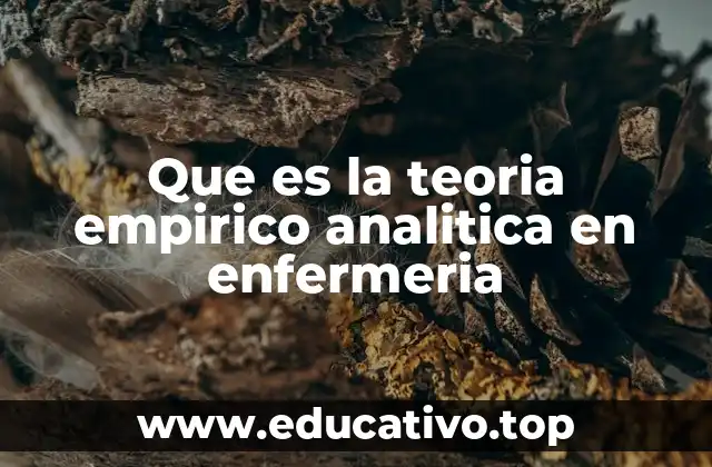 Que es la teoria empirico analitica en enfermeria