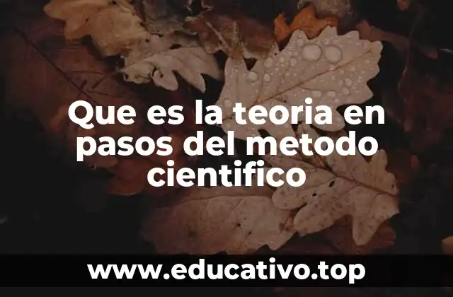 Que es la teoria en pasos del metodo cientifico