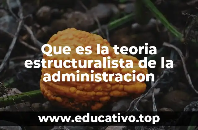Que es la teoria estructuralista de la administracion