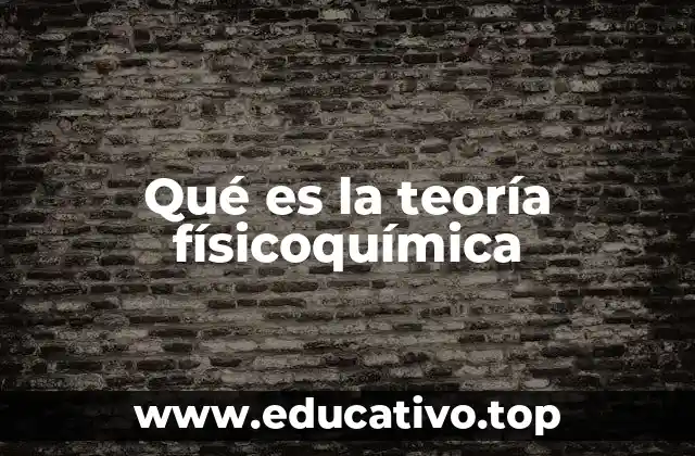 Qué es la teoría físicoquímica