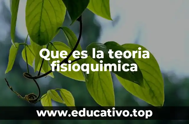Que es la teoria fisioquimica