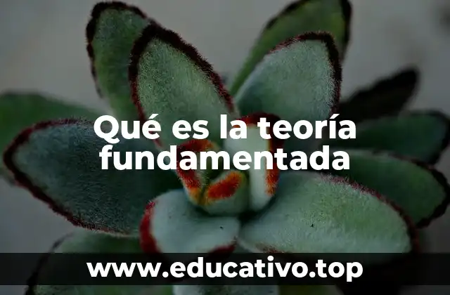 El proceso inductivo detrás de la teoría fundamentada