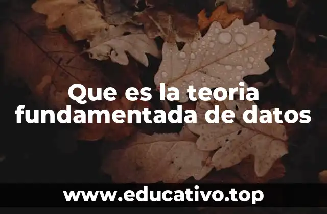 Que es la teoria fundamentada de datos