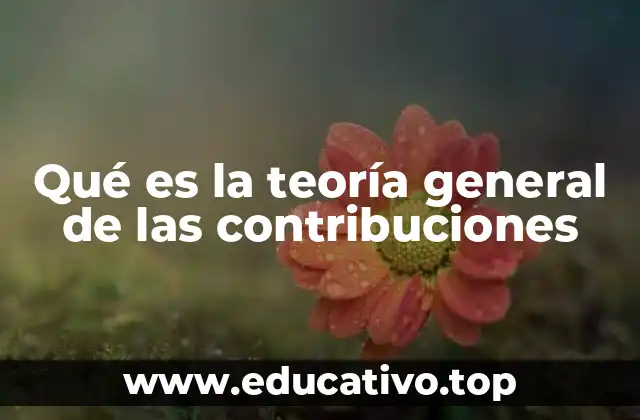 Qué es la teoría general de las contribuciones