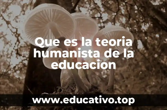 Que es la teoria humanista de la educacion