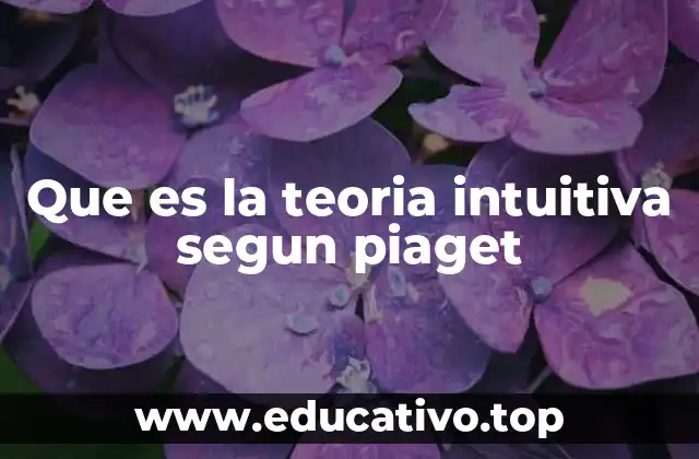 Que es la teoria intuitiva segun piaget