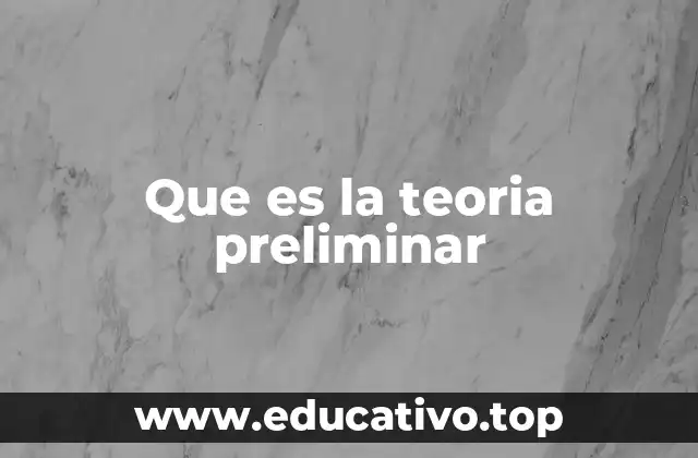 Que es la teoria preliminar