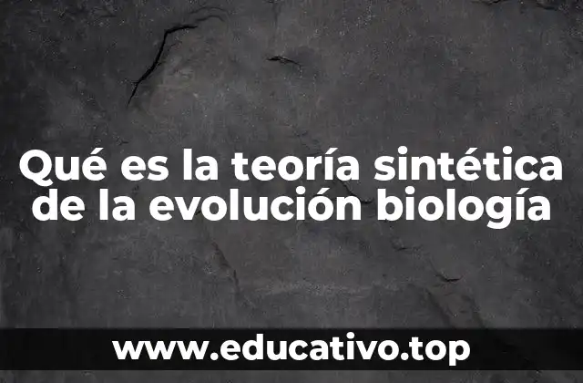 Qué es la teoría sintética de la evolución biología