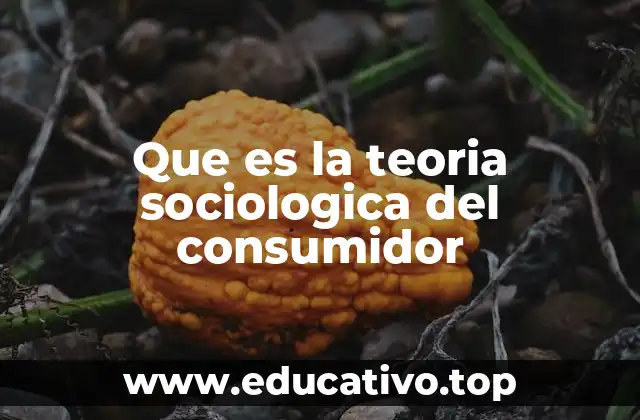 Que es la teoria sociologica del consumidor