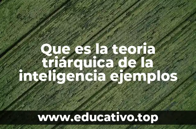 Que es la teoria triárquica de la inteligencia ejemplos