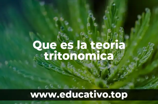 Que es la teoria tritonomica