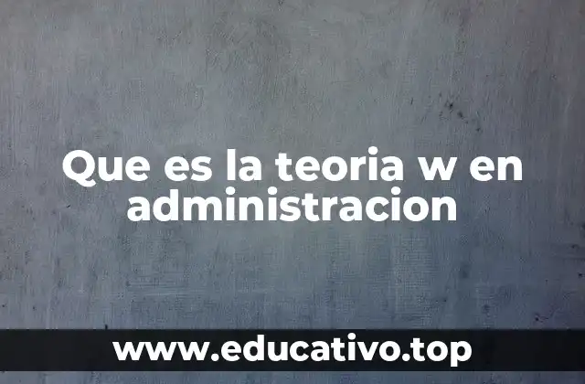 Que es la teoria w en administracion