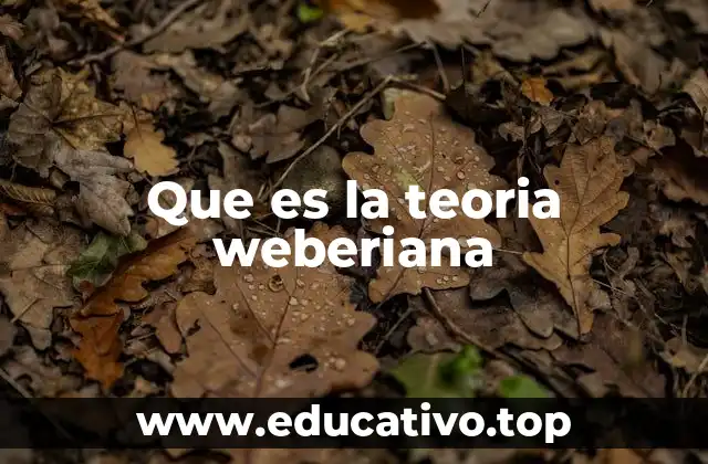 Que es la teoria weberiana