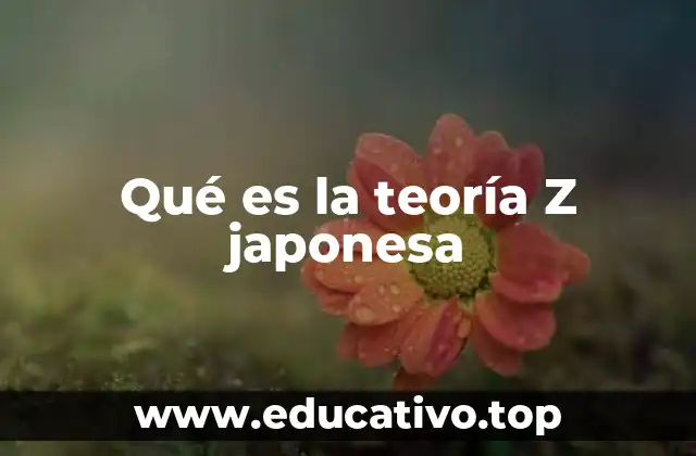 Qué es la teoría Z japonesa