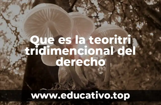 La interacción entre norma, sociedad y ética