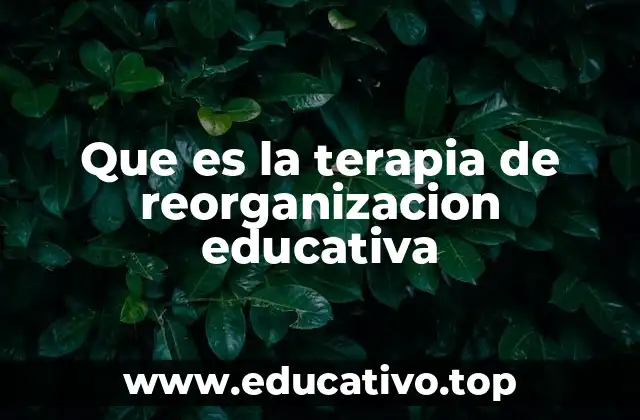 Que es la terapia de reorganizacion educativa